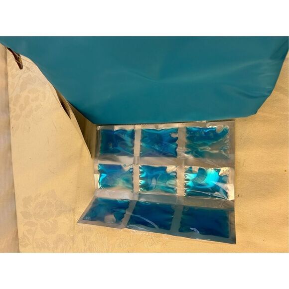 Samantha Brown Aqua Basket Cooler insulated lunch tote new - Picture 5 of 9